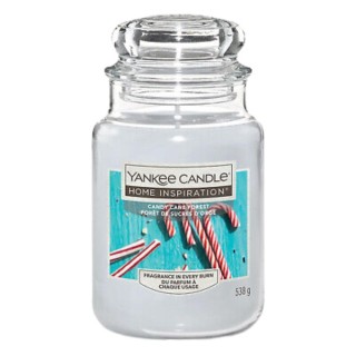 Yankee Candle Świeca zapachowa Candy Cane Forest 538 g