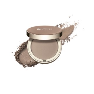 AA Wings of Color Satin Bronzer matowy Bronzer do konturowania twarzy /01/ Cool Bronze 8 g