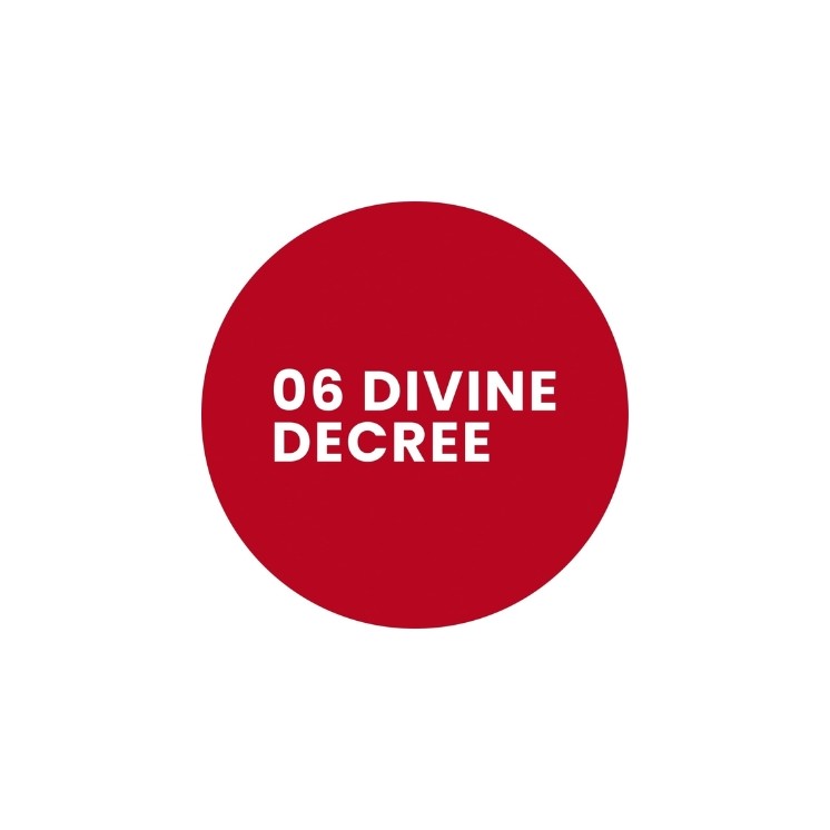 Stars from the stars WRITTEN IN THE STARS konturówka do ust 06 Divine decree 0,3 g